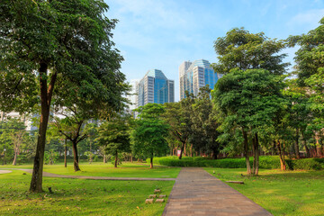 Public park or city forest with high-rise buildings cityscape in metropolis city center