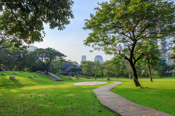 Public park or city forest with high-rise buildings cityscape in metropolis city center