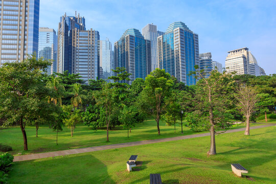 Public park or city forest with high-rise buildings cityscape in metropolis city center