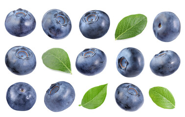 Fresh blueberries and green leaves isolated on white, collage