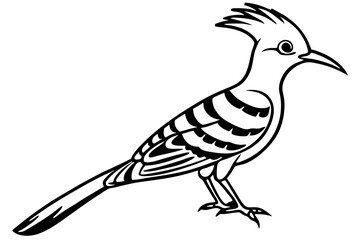 Modern Hoopoe Vector Art