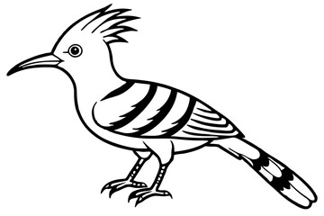 Modern Hoopoe Vector Art