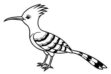 Modern Hoopoe Vector Art