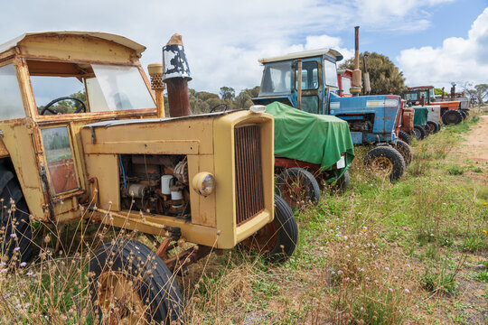 Colourful old tractors parked in a line