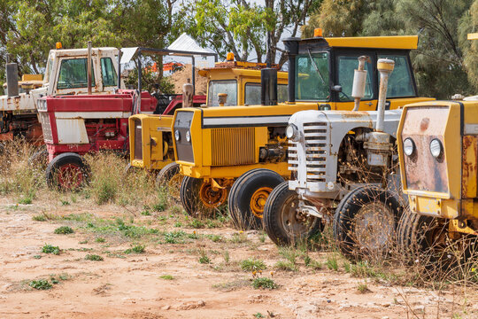 Colourful old tractors parked in a line
