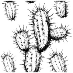 Engraved cactus thorn texture, hand-drawn spine pattern, vintage desert plant surface, antique sharp detail, retro botanical background, trendy illustration texture, vector illustration.