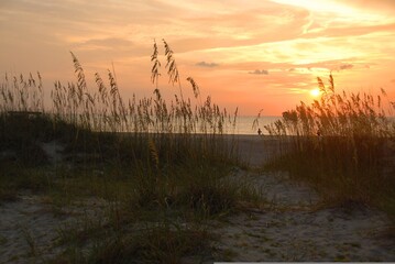 Sunrise at ocean beach Tybee Island, Georgia.