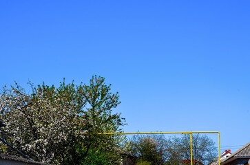 A yellow metal pole is in front of a tree. The pole is in front of a tree with green leaves