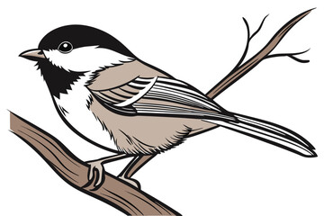 Charming Bird Illustration A Chickadee Perched on a Branch in Detailed Vector Art