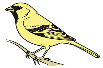 Illustration of a Yellow Bird Perched on a Branch with Intricate Feather Details and Naturalistic Form
