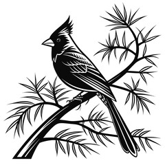 Cardinal Bird Perched Gracefully on Pine Branches Artistic Black and White Wildlife Illustration