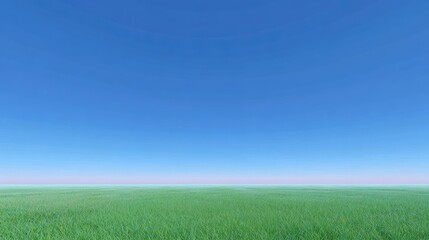 Fototapeta premium Expansive Green Field Under a Clear Blue Sky with Soft Gradients of Light in the Horizon