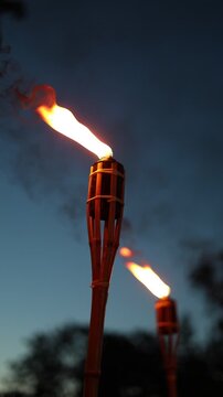 A row of tiki torches casting warm flames and smoke trails against a backdrop of silhouetted trees and twilight sky, creating a moody outdoor ambiance