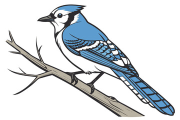 Vibrant Blue Jay Perched on a Bare Branch Graphic Illustration