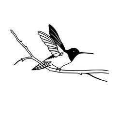  lying hummingbird vector icon on white back round
