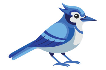 Colorful Cartoon Blue Jay Illustration Depicting a Bird in a Playful Style