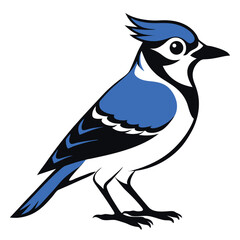 Majestic Blue Jay Illustration Bird Perched with Sleek Silhouette and Vibrant Plumage Details
