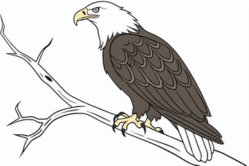 Majestic Bald Eagle Perched on a Branch Symbolizing Freedom and American Wildlife