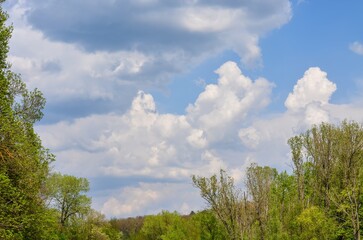 Obraz premium The sky is cloudy and the sun is shining through the clouds. The trees are green and the sky is blue