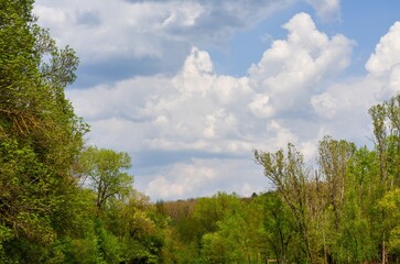A cloudy sky with trees in the background. The sky is mostly blue with some clouds scattered throughout. The trees are green and lush, creating a peaceful and serene atmosphere