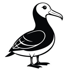 Stylized Black and White Albatross Illustration Standing Tall on a White Background Simple and Striking