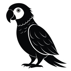 Monochrome Parrot Illustration a Striking Image of Avian Wildlife and Beautiful Bird Design