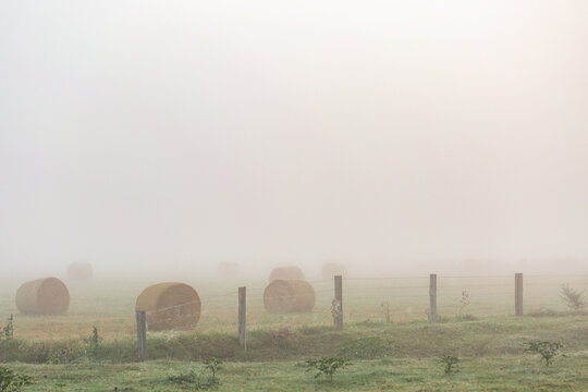 Round hay bales in farm paddock barely visible through fog on misty morning