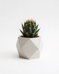 Abstract geometric cement planter pot for cactus on plain white background