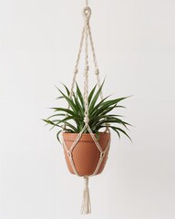 Hanging macrame plant pot with terracotta base on plain white background