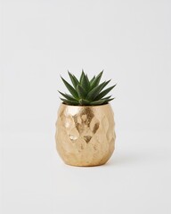 Small metallic gold desktop succulent pot design on plain white background