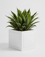 Square white fiberglass planter box with clean lines on plain white background