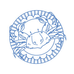 Sketch of crab on plate. Seafood isolated illustration.