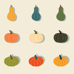 Minimalist autumn set of pumpkins and squash illustration fall theme vector