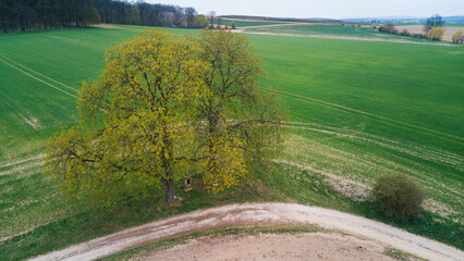 Spring in the countryside, Hrádek u Nechanic, Czech Republic