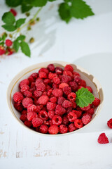 Plate of freshly picked raspberries on white wooden background. Concept of harvest, healthy organic food, summer berries.