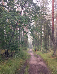 Traveling over Tuchola Forest.