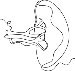 one line art Spleen vector illustration. line art, one continuous line, simple, hand drawn and sketch style. for icons, symbols, signs or logos. PNG