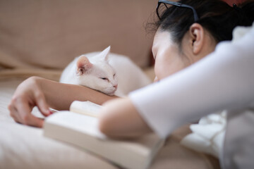 読書をする女性と昼寝をする白い猫