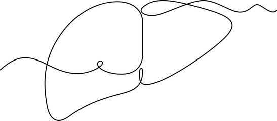 one line art Liver vector illustration. line art, one continuous line, simple, hand drawn and sketch style. for icons, symbols, signs or logos. PNG