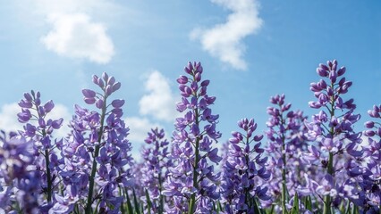 Obraz premium Floral background with purple bluebells and a bright blue sky, including room for writing