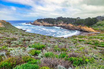 Breathtaking coastal scenery from Point Lobos, California, featuring rugged cliffs, turquoise...