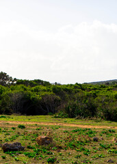 Nature 2000 area on Marfa Peninsula Malta.
