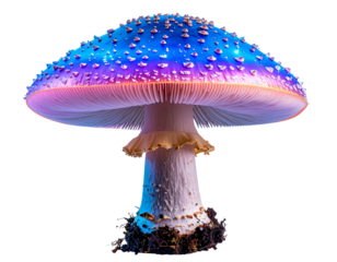 Magical glowing mushroom with sparkles and bioluminescent glow, isolated on a transparent background