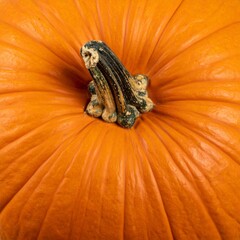 Close-Up View of an Orange Pumpkin