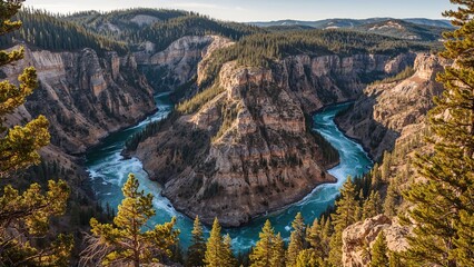 Fototapeta premium Meandering river winding through steep canyon cliffs surrounded by lush coniferous forest under clear blue sky during golden hour sunlight.