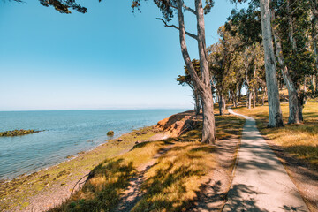 Scenic trail through coastal trees at Coyote Point Recreation Area in San Mateo, overlooking San...