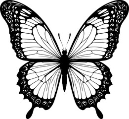 An elegant, intricately detailed butterfly silhouette, showcasing delicate wings with beautiful patterns, perfect for nature-inspired designs, serene themes, and artistic projects.