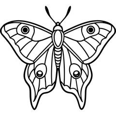Atlas moth line art vector