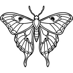 Atlas moth line art vector