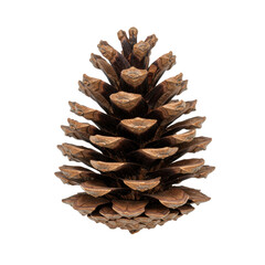 A single, dry, brown pine cone, meticulously detailed with intricate scales and natural rough texture, isolated on a transparent, seamless studio background with shadowless light, top-down view.